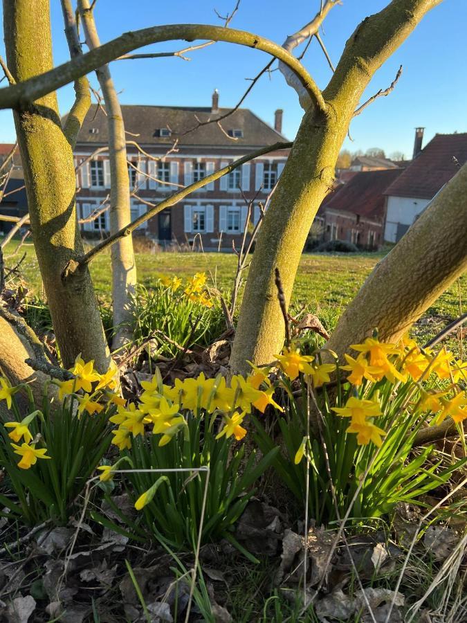 Chuignolles Le Logis D'Anne-Sophie Bed & Breakfast エクステリア 写真